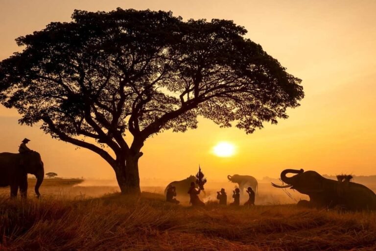 O Que Vestir em um Safari Africano: O Guia Completo de Bagagem para 2026