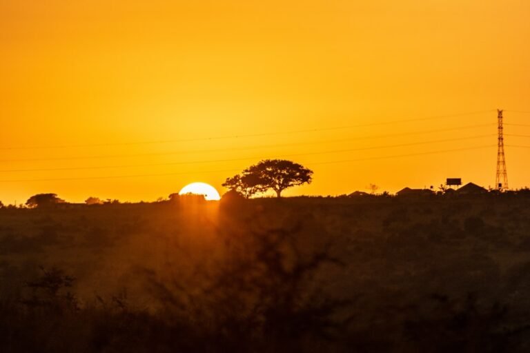 Safest African Country for Safari in 2026