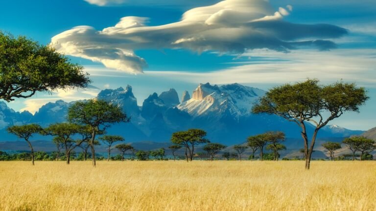 Safest Place in Africa for Safari: Where to Go in 2026