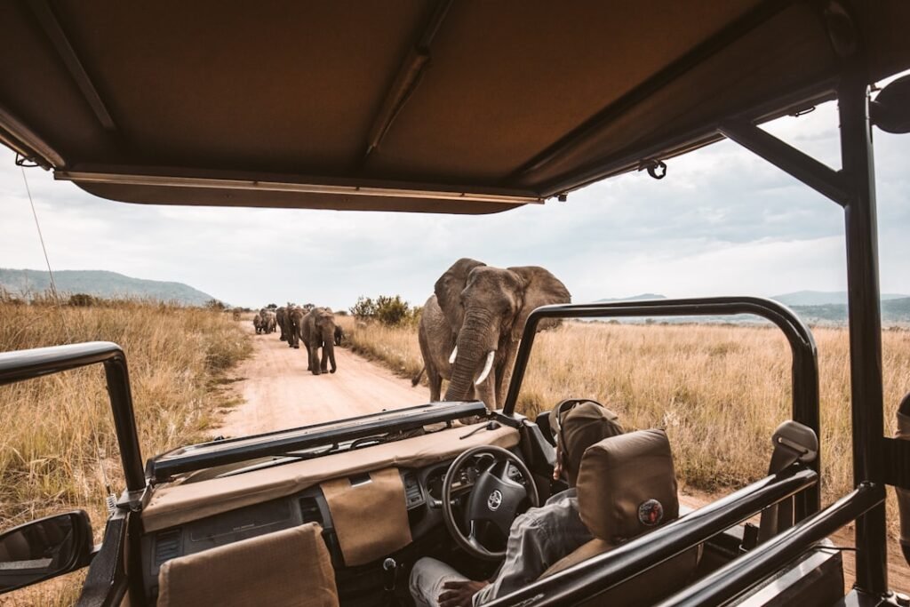What to Pack for an African Safari: The Complete 2026 Packing Guide