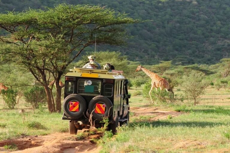 How To Book African Safari: A Practical Guide for 2026