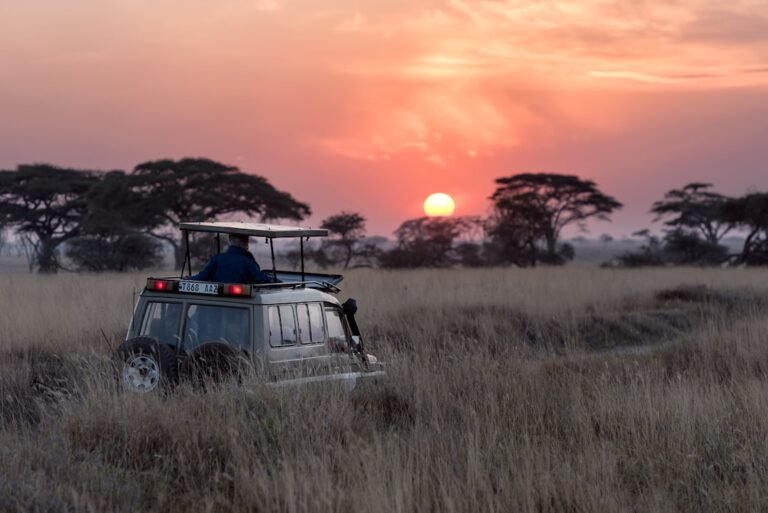 How To Pack For An African Safari | My Dream Safari